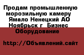 Продам промышленную морозильную камеру - Ямало-Ненецкий АО, Ноябрьск г. Бизнес » Оборудование   